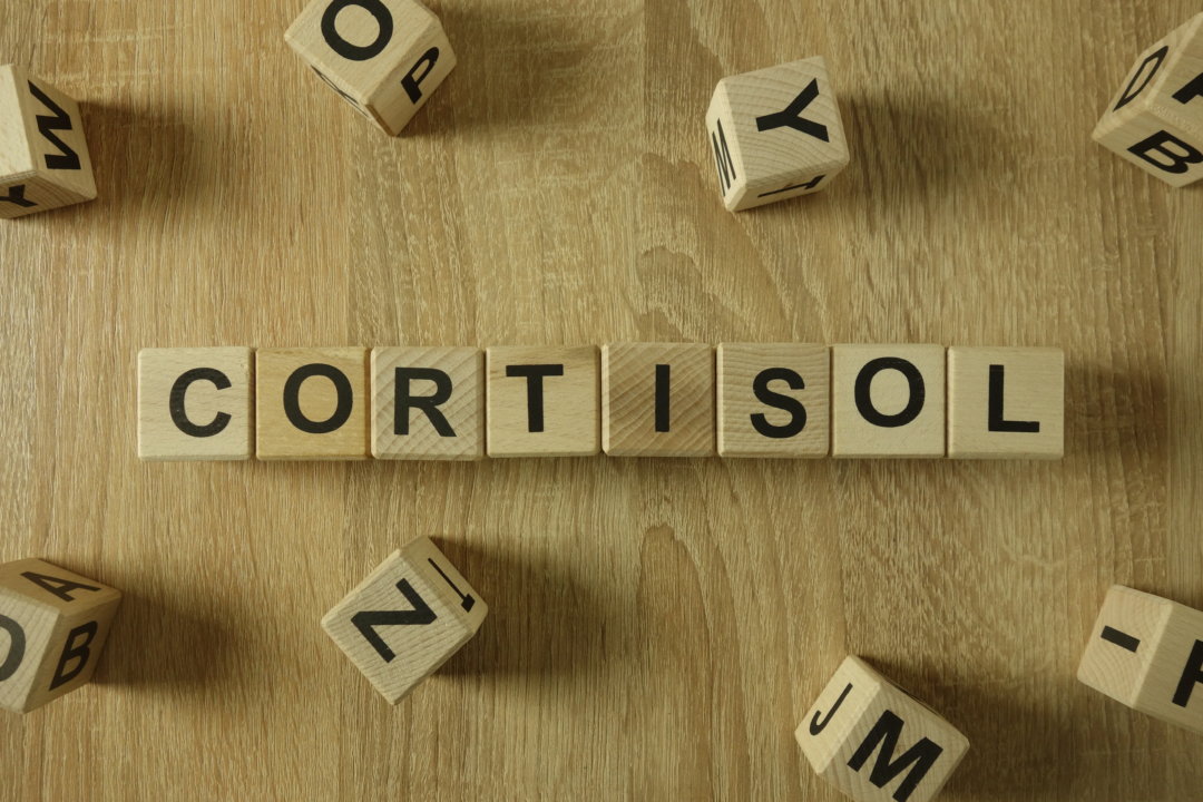 high cortisol menopause