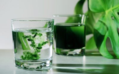 Energize Your Menopause with Chlorophyll