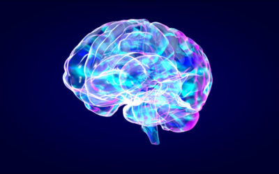 Berberine for a Better Brain in Menopause