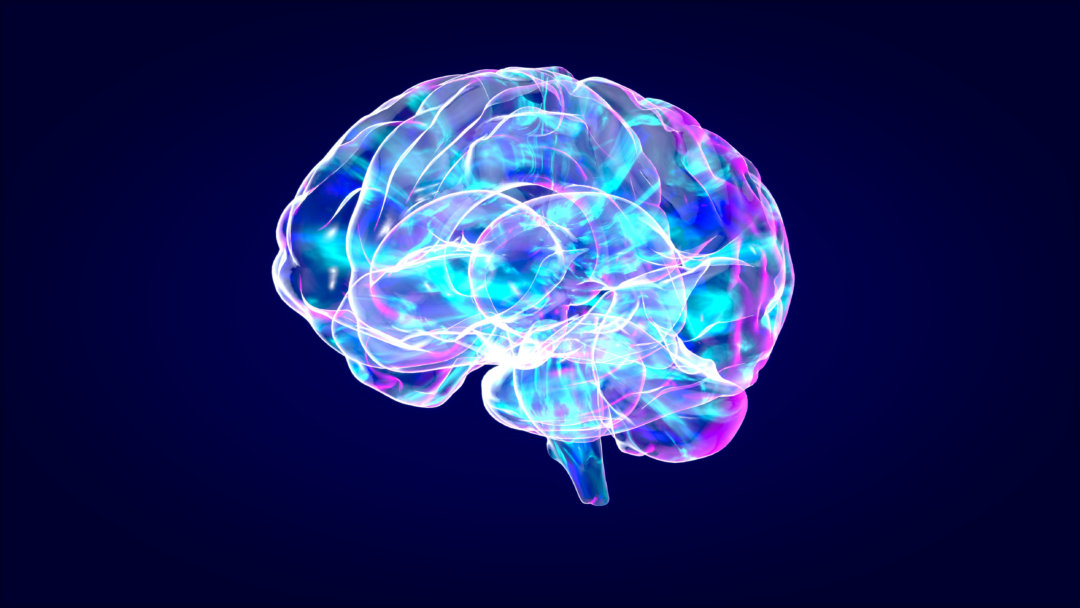 berberine brain health menopause