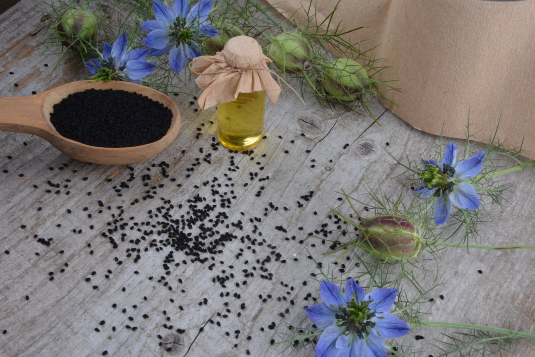 black cumin seed oil menopause